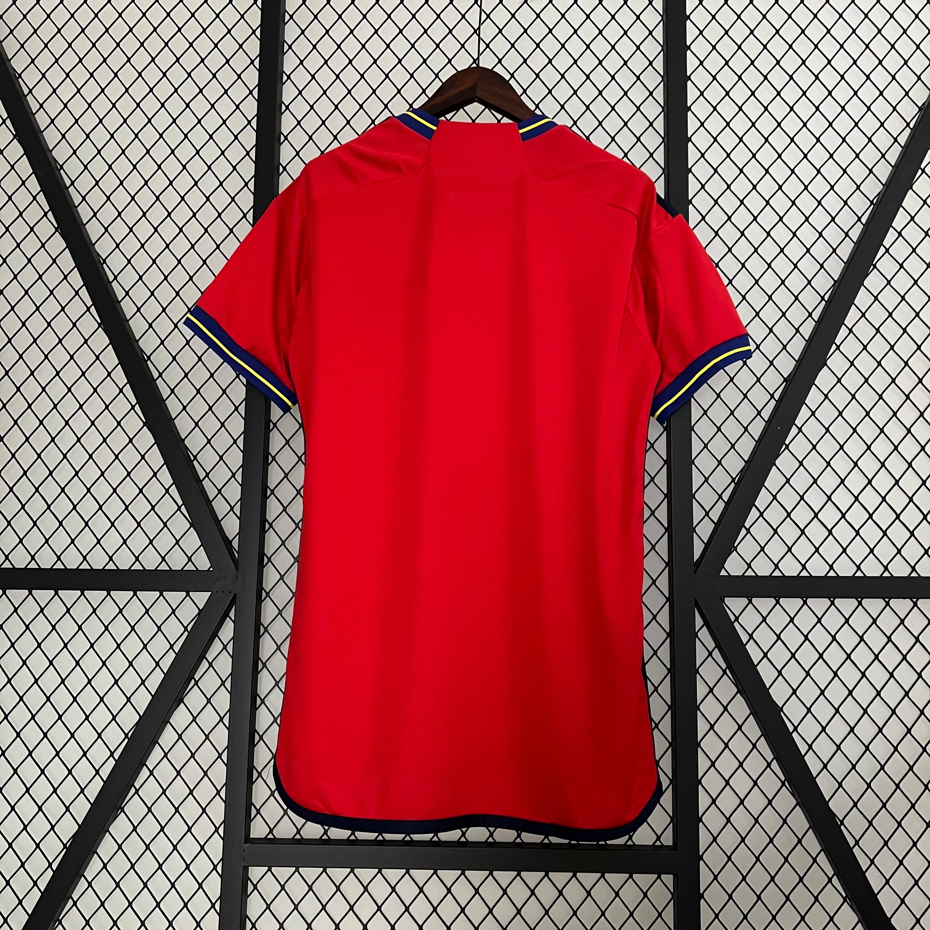 🇪🇸 Spain Special Edition Jersey